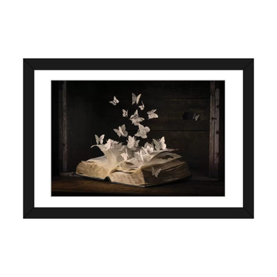 " Lepidopterology " by Heather Bonadio