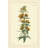 Curtis Botanical IV - Wrapped Canvas Print-543482930