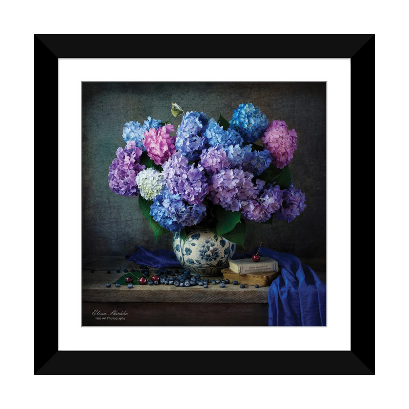 Hortensia - impression d'art mural - papier d'art encadré, H 24 po x l 24 po, Noir