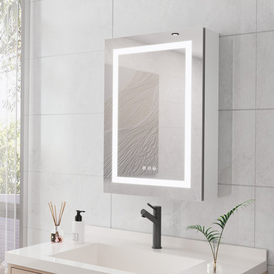 Miroir pour armoire à pharmacie à fixation en surface H 28 po x l 20 po Bryton