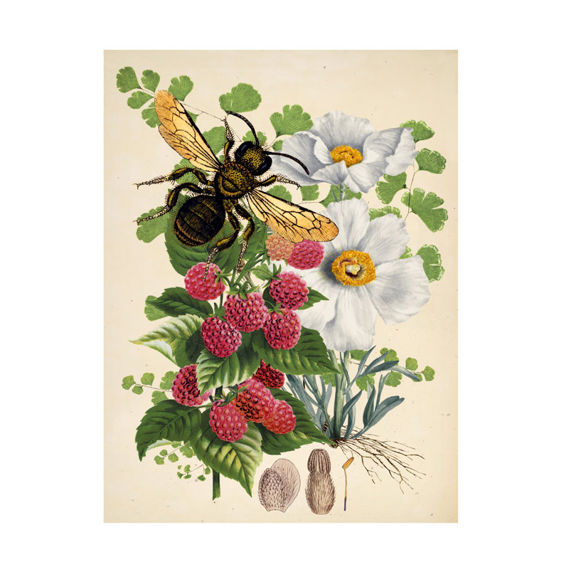 Art sur toile Tina Lavoie Bee Botanica I, H 18 po x l 24 po
