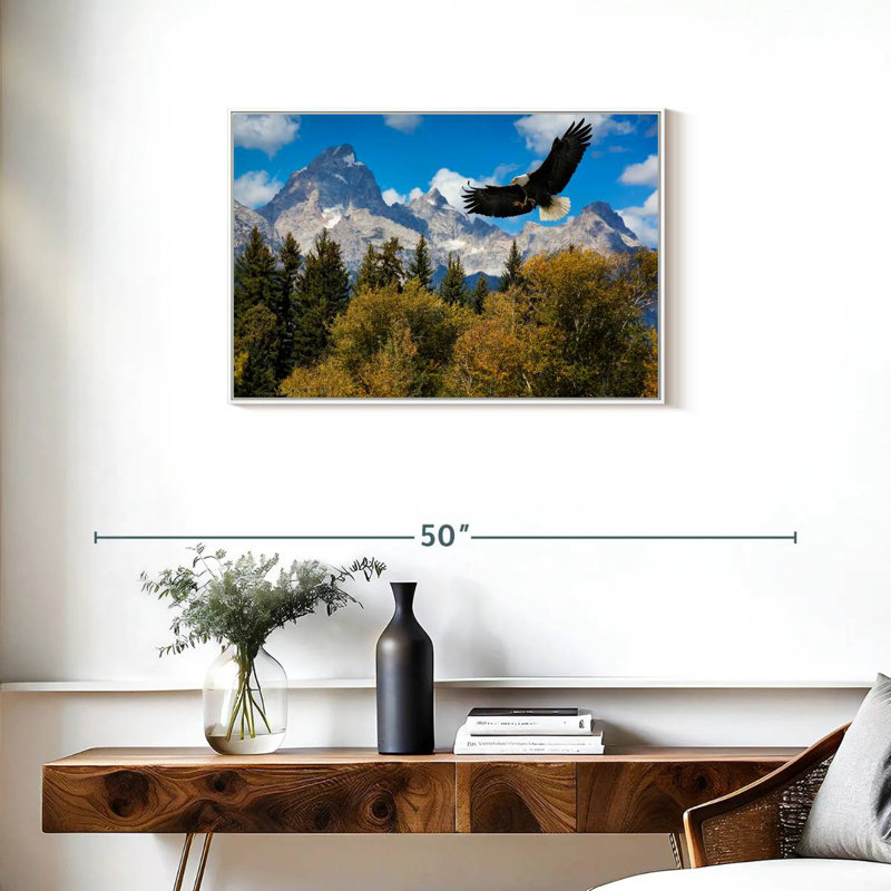 Grand Teton Eagle, Cadre flottant blanc, 31 po x 21 po