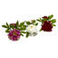 Peony Arrangement in Vase