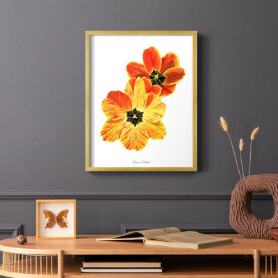 «Olive's Tulips II», reproduction encadrée - bois massif
