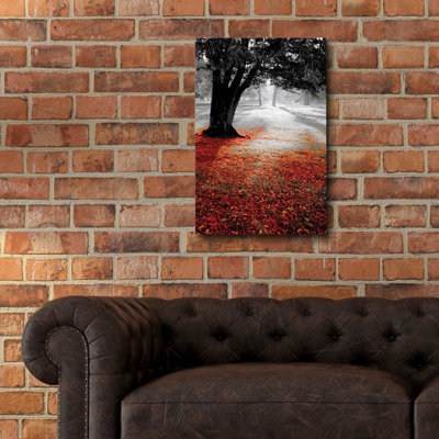 «Autumn Contrast» par Photoinc Studio, art mural en verre acrylique, 12 po x 16 po