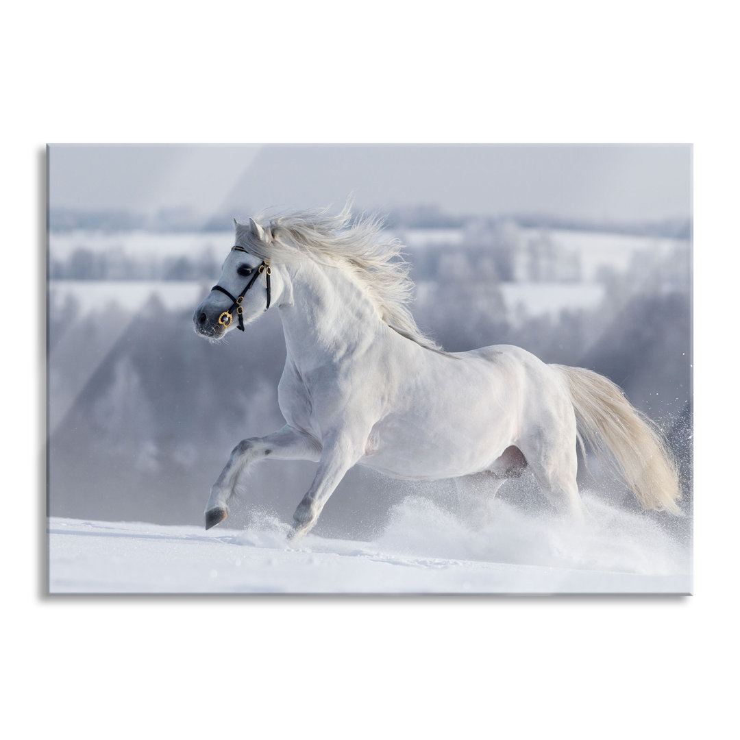 Ungerahmtes Foto auf Glas "Weißes Pferd in der verschneiten Wiese"