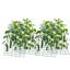 0.4cm H x 90cm W Steel Trellis