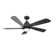 Damecia 52'' Ceiling Fan with LED Lights