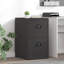Storage Cabinet-1733305504