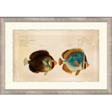 Horizontal Chatodon 2 Print
