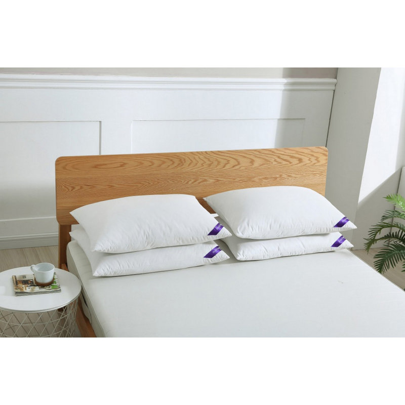 Coussin Astra, Grand
