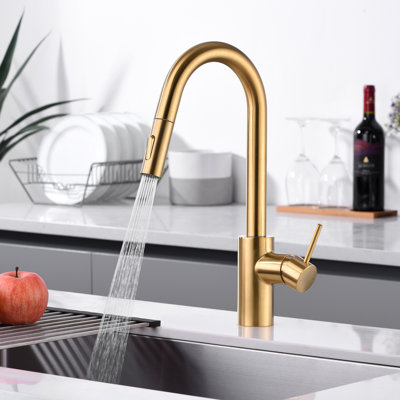 Pull-Down Kitchen Faucet with Accessories
