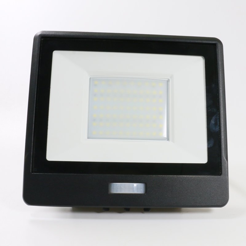 Amie-Lee Floodlight