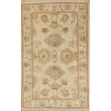 Oriental Area Rug in Ivory