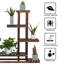 Caedance Plant Stand