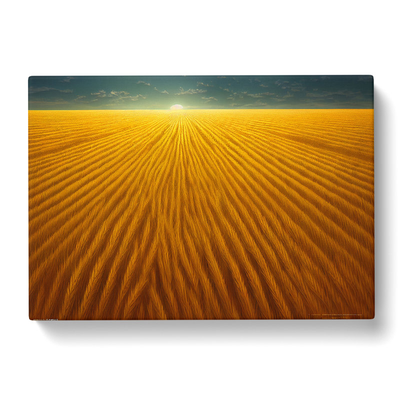 Expressive Wheat Field - Wrapped Canvas Print, 35cm H x 50cm W x 3cm D