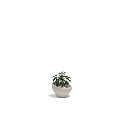 Luna Planter