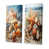 Toile tendue