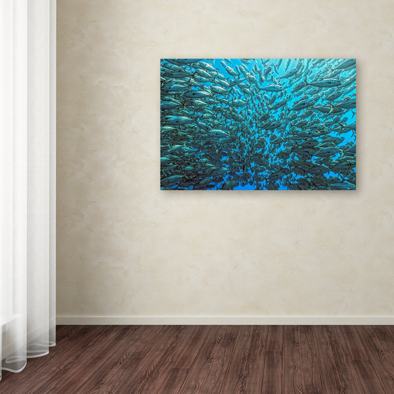 « split school of jackfish », reproduction de photo sur toile tendue, 16 po x 24 po