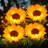 Plastic Low Voltage Solar Powered Integrated LED Pathway Light Pack