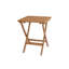 Table pliante à pique-nique 24 po WINDSOR
