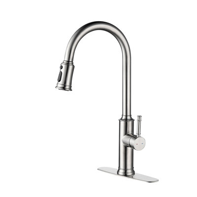 Kitchen Faucet With Pull Down Sprayer