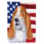 Basset hound 5
