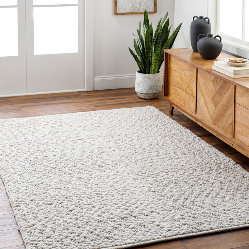 Vesta Handmade Hand Woven Light Gray Rug, Rectangle 2' x 3'