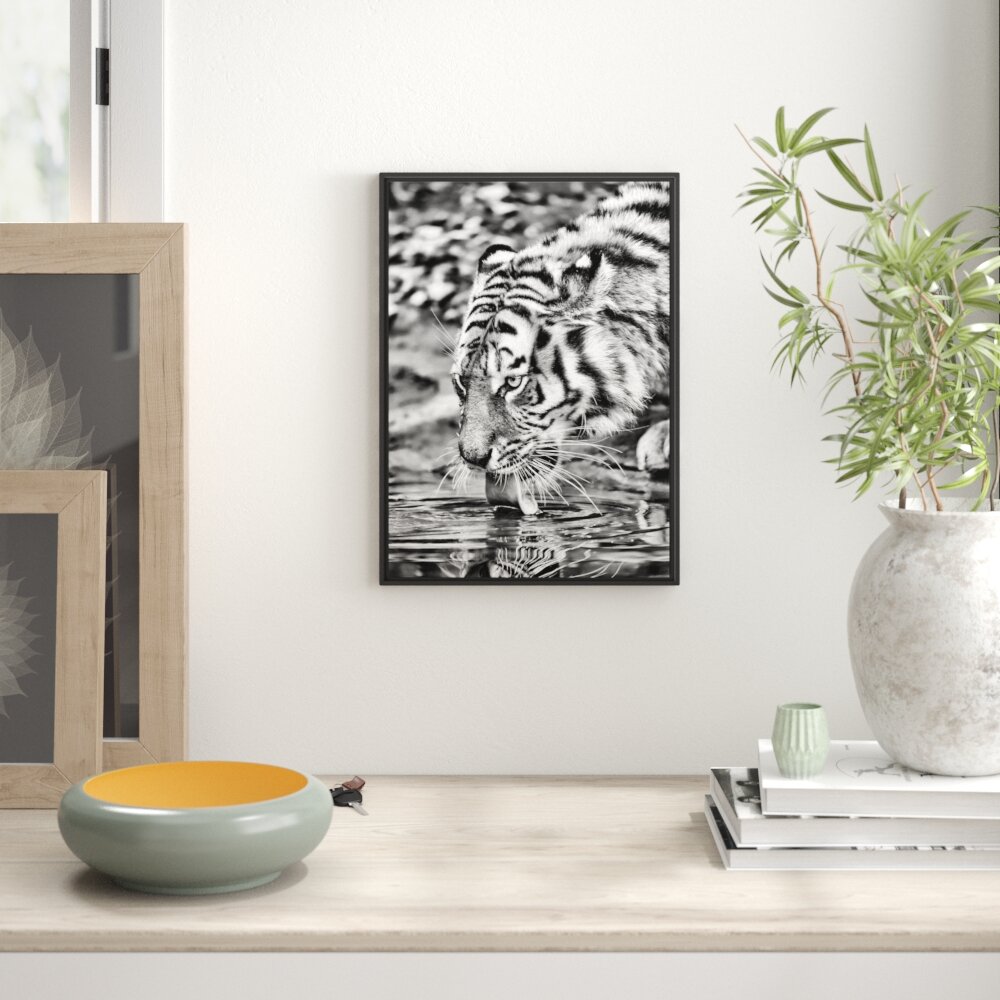 Gerahmtes Wandbild Tiger am Wasser