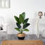 48'' Faux Palm Tree in Planter-747475258