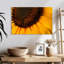 Tournesol Harnek-107688106