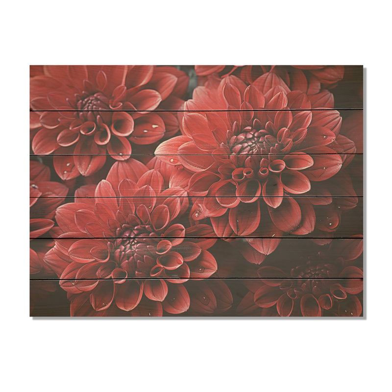 Crimson Mums Elegance Blooms - Mums Wood Art On Natural Pine Wood, 10" H x 20" W