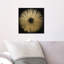 «Abstract Sunburst Golden Night», impression-51241198-119864311-51241194