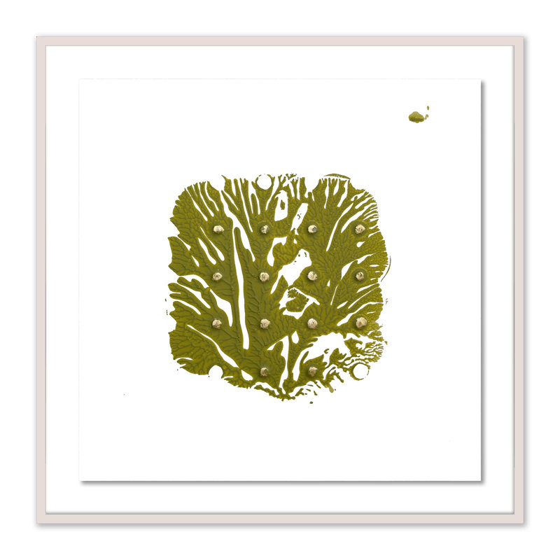 Green Golden Imprint 7 Print by Anne Mersmann, 48" H x 48" W x 2.5" D, White Wash