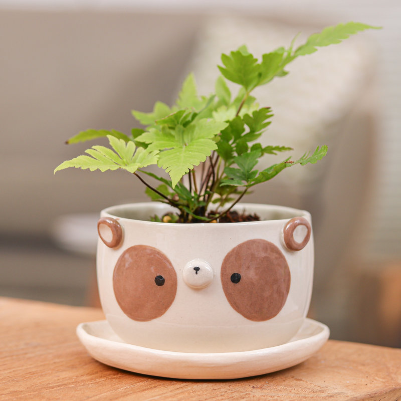 Dakota Fields Handmade Brown Panda Blossoming Ceramic Flower Pot