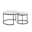 Ensemble de 2 tables basses gigognes-1896235289