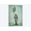 « balloon fish », impression sur toile-28956779-74616923-74616929
