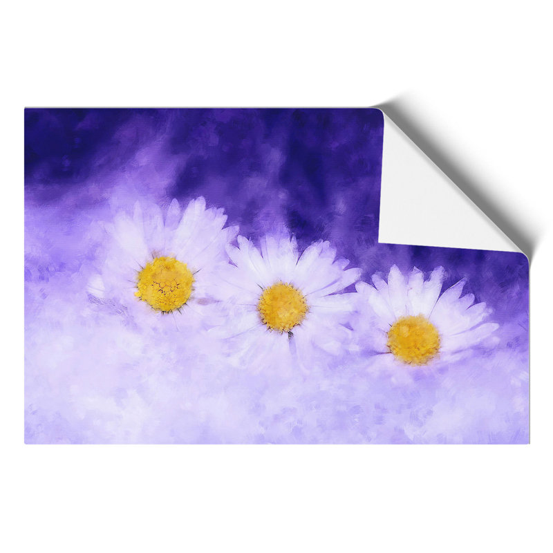 Three White Daisies - No Frame Print, 42cm H x 59cm W x 0.1cm D