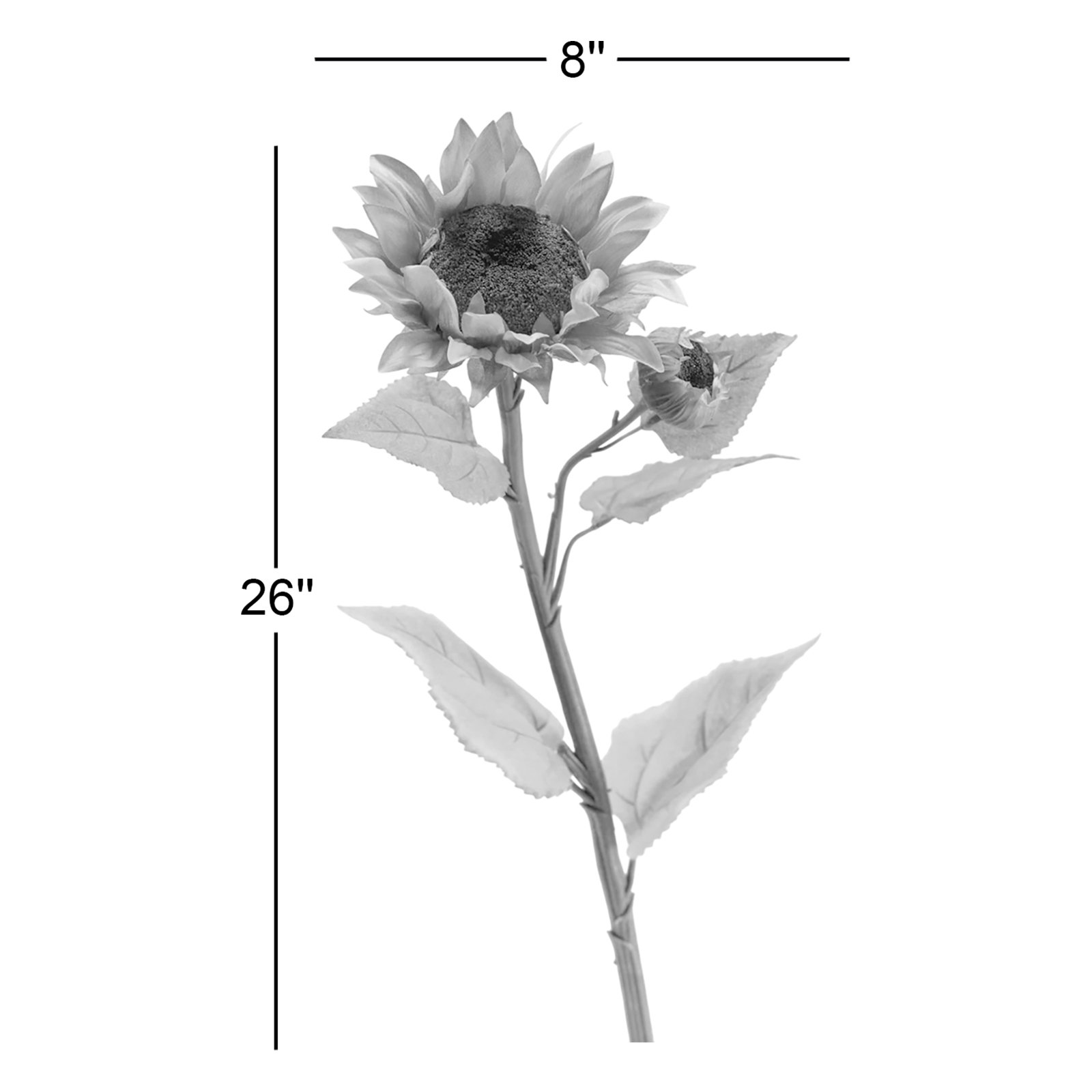 Sunflower Floral Stems