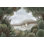 Papier peint paysage, botanique, feuillage, aquarelle, illustration