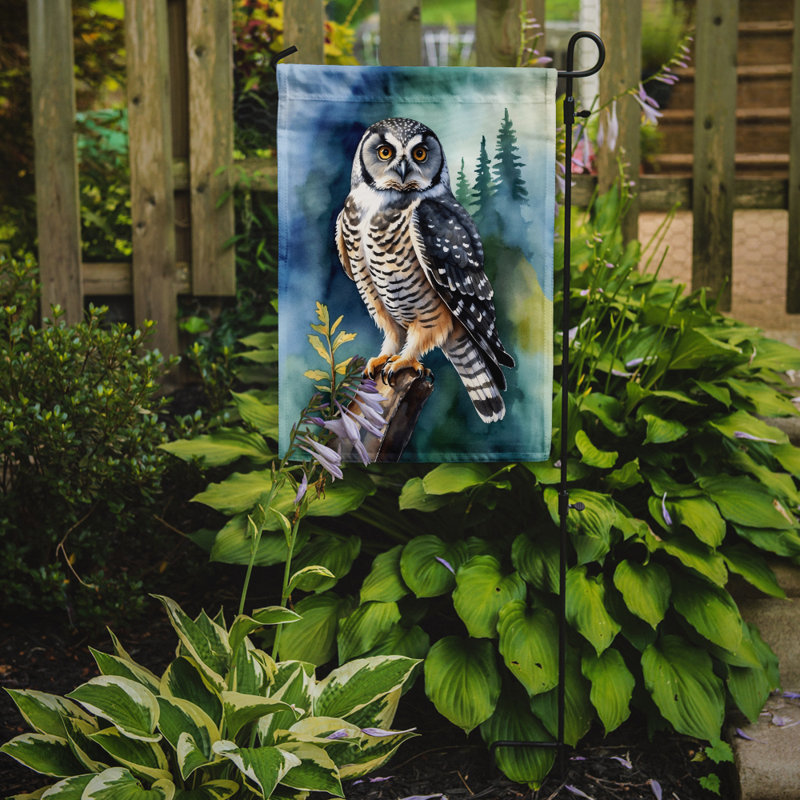 Drapeau de jardin, Northern Hawk Owl