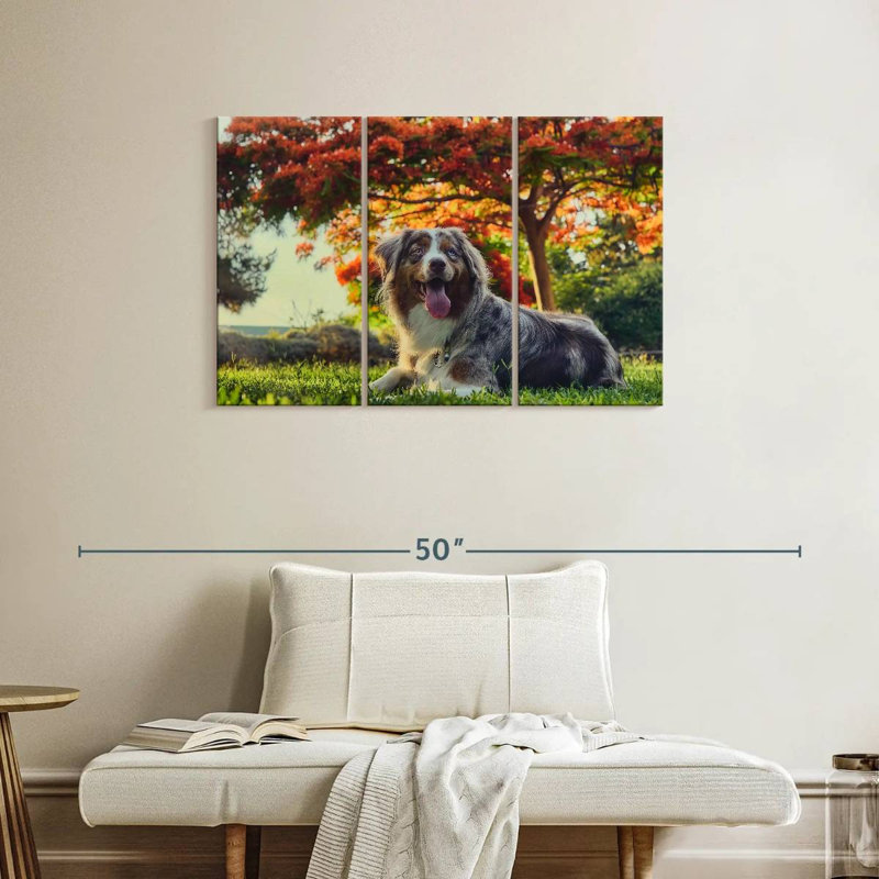 Brampt Cherry Border Collie, 24" H x 38" W
