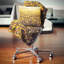 Coussin Schafer-1945352086-1945352082