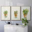 Succulent I - Ensemble de 3 reproductions encadrées sur toile-91891095-91891094