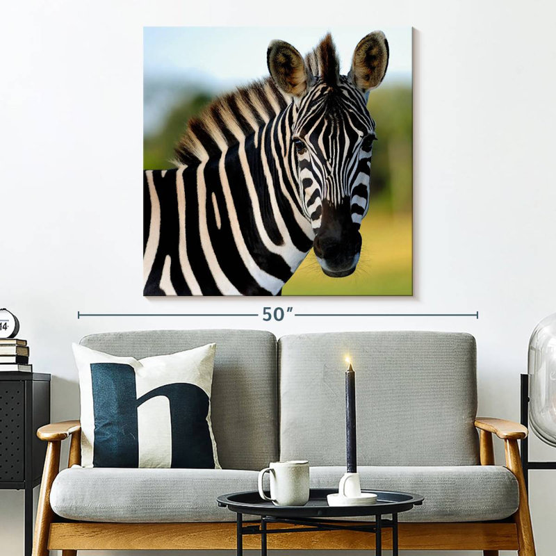 Brampt Staring Zebra, 33" H x 33" W