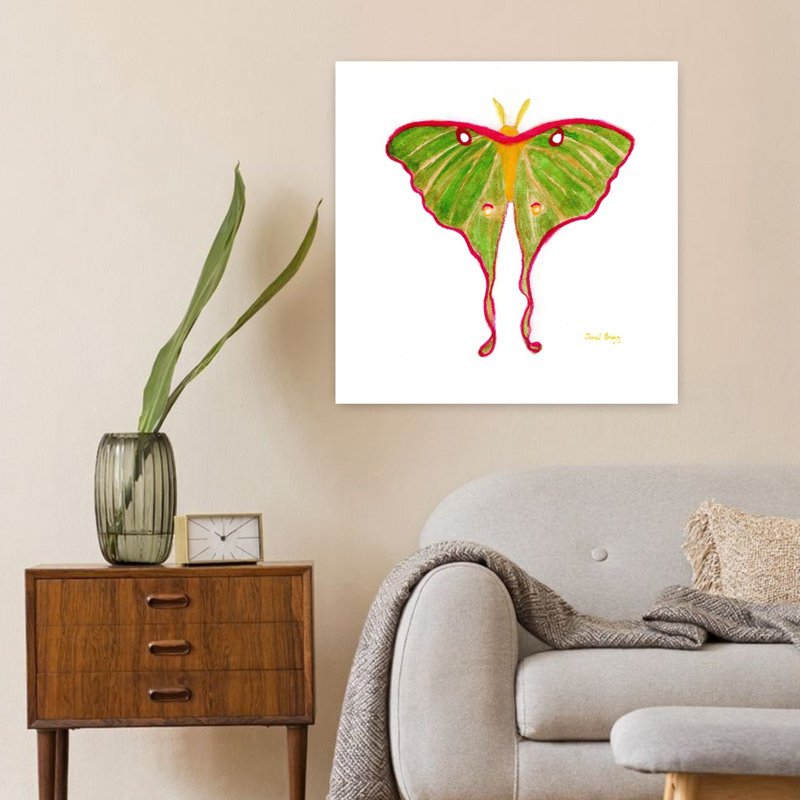 Art contemporain Contemporary Moth, H 24 po x l 24 po