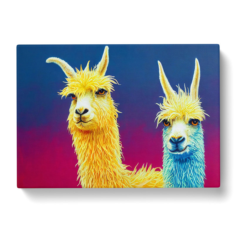 Llama Splash Vol.3 Abstract - Wrapped Canvas, 35cm H x 50cm W x 3cm D