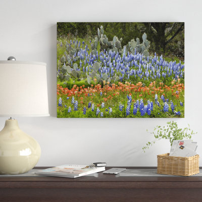 " Bluebonnet And Pricky Pear Cactus, Texas " by Tim Fitzharris