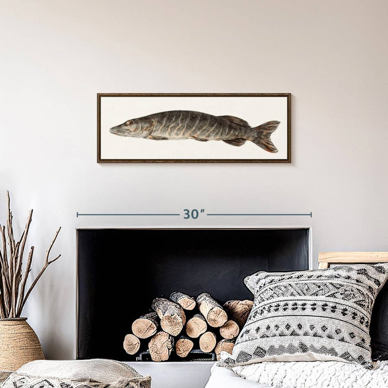 Brochet, 25" X 9", Floating Frame Walnut