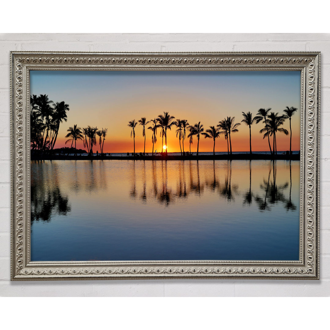 Reflections Of The Palm Trees - Einzelne Bilderrahmen Kunstdrucke